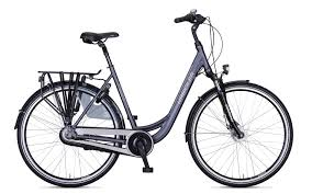 Zaandam Eco